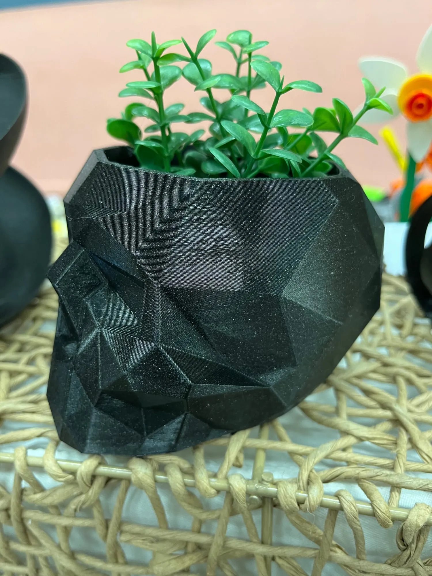 Pot crâne low poly noir garni d’une petite plante verte, vu de profil